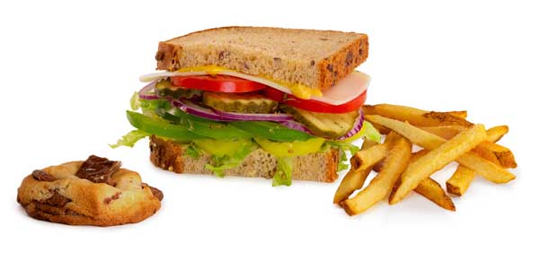 Grilled or cold veggie sandwich kids meal